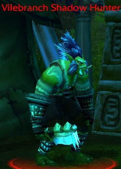 Vilebranch Shadow Hunter